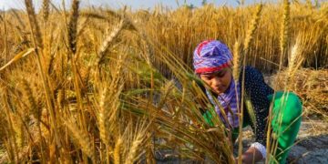 Recent Agriculture Schemes By NDA Government