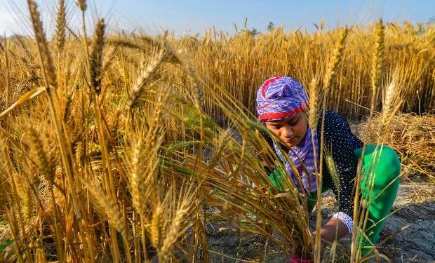 Recent Agriculture Schemes By NDA Government