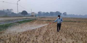 Pusa Tablets, A ‘Microbial Consortium’ Aimed Towards Sustainable Farming