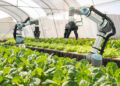 The Era Of Farm Automation