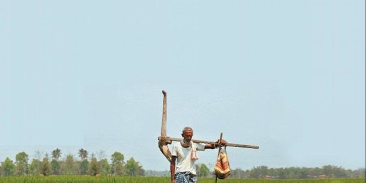 5 MoU Signed By Agriculture Ministry For A Digitalized Agriculture