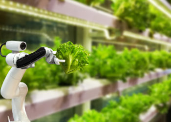5 Emerging Innovations In The Field Of Agriculture