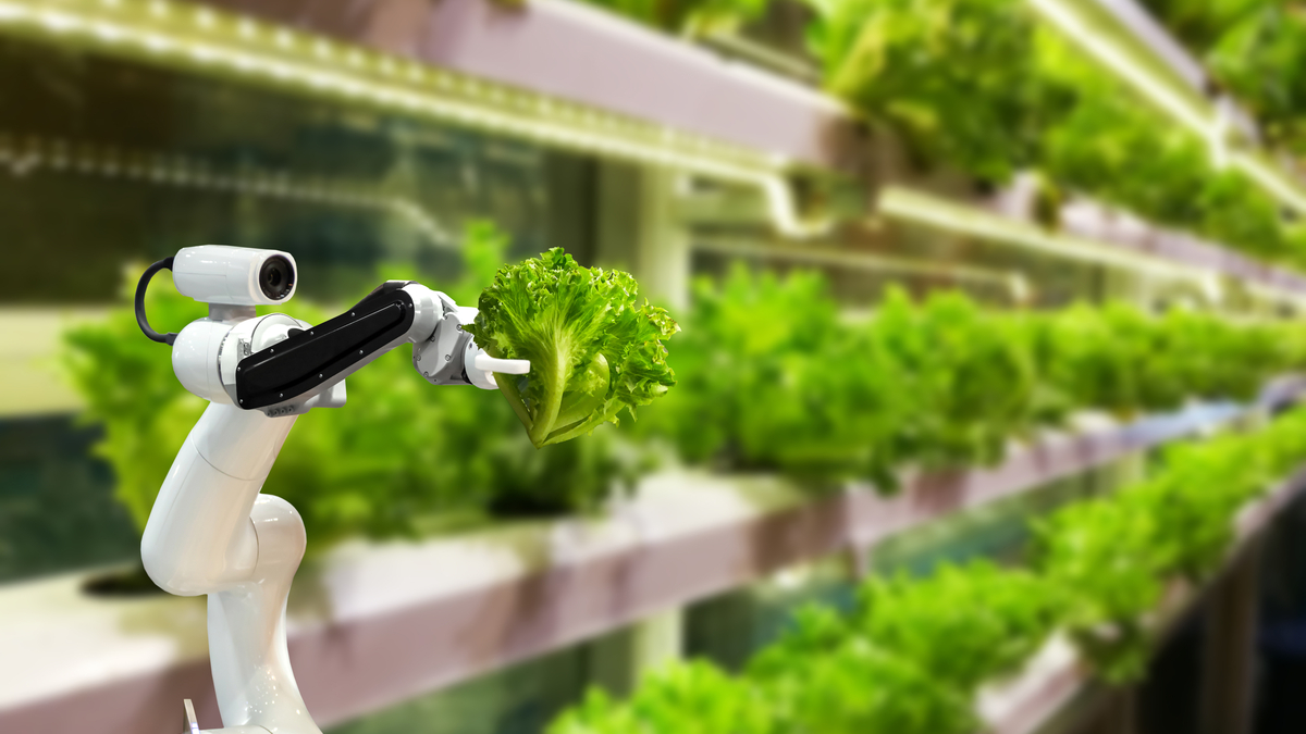 Emerging Innovations In The Field Of Agriculture The Agrotech Daily