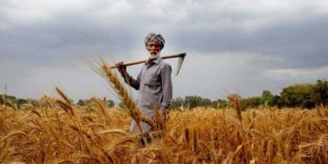 Farmers; “The Mitochondria Of India”