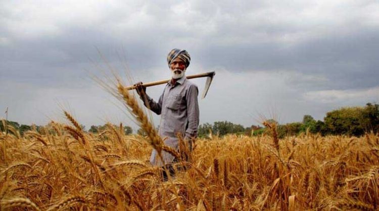 Farmers; “The Mitochondria Of India”