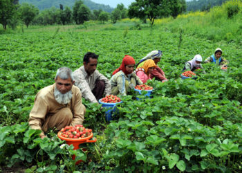 Govt Opens Up Agriculture, Horticulture, Allied Sector To All Communities In J&K
