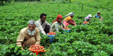 Govt Opens Up Agriculture, Horticulture, Allied Sector To All Communities In J&K