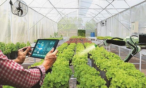 The Agrotech report of 2022 is believed to win a new record. 