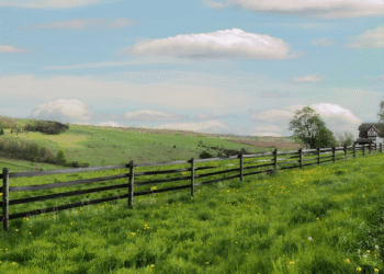 EU Targets To Increase Organic Farming Upto 25 By 2030