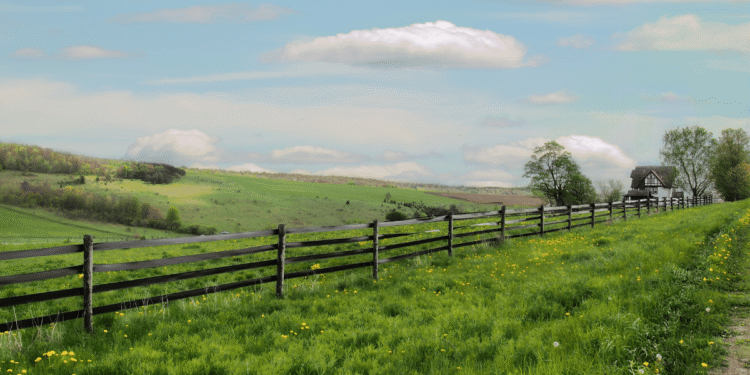 EU Targets To Increase Organic Farming Upto 25 By 2030