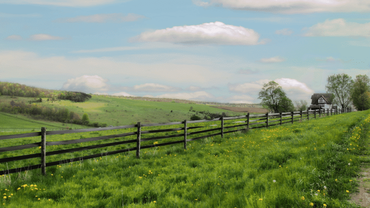 EU Targets To Increase Organic Farming Upto 25 By 2030