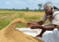 Sri Lanka Lifted The Prohibition On Farm Imports As Natural Drive Fails.