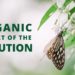 EU Targets To Increase Organic Farming Upto 25% By 2030