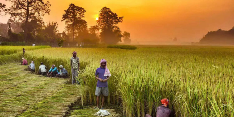 Arya.ag now offers a buy now, pay later Facility.