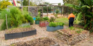 The Main Challenges Of Permaculture.