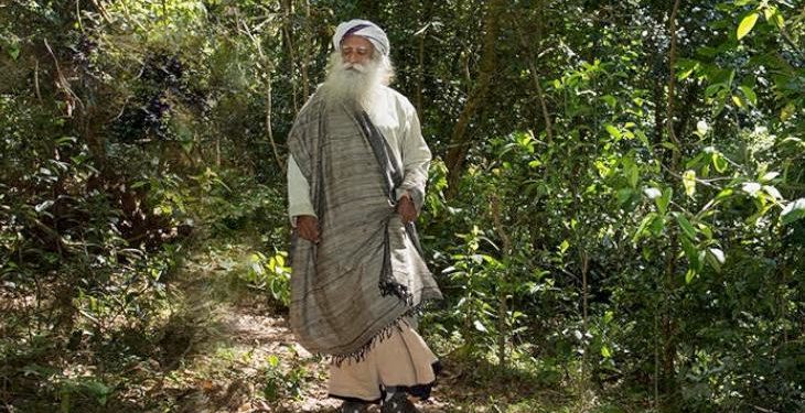 Sadhguru Can Be A New Face Of Agroforestry In India.