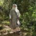 Sadhguru Can Be A New Face Of Agroforestry In India.