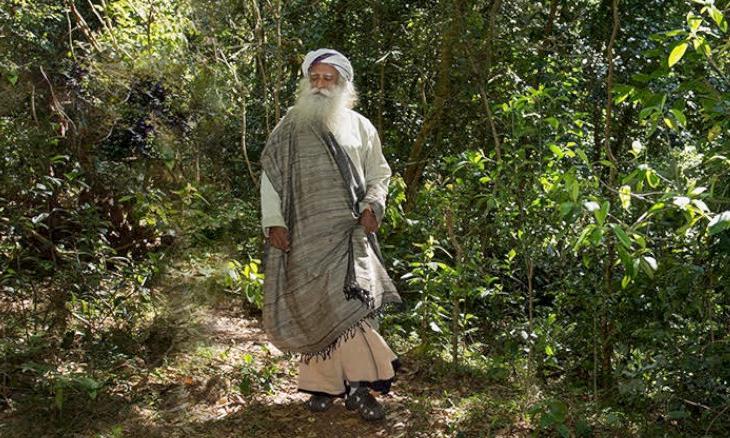 Sadhguru Can Be A New Face Of Agroforestry In India.
