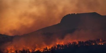 Cyprus’ worst Forest Fire in decades is under “full control” says the Agriculture Ministry