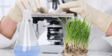 How biotechnology affects agricultural practices