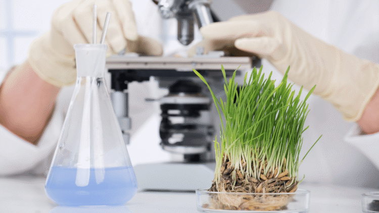 How biotechnology affects agricultural practices