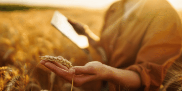 IOT Technology Changing The Future Of Agriculture