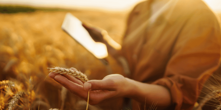 IOT Technology Changing The Future Of Agriculture