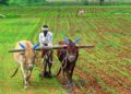 Irrigation Methods That Will Help The Indian Farmers