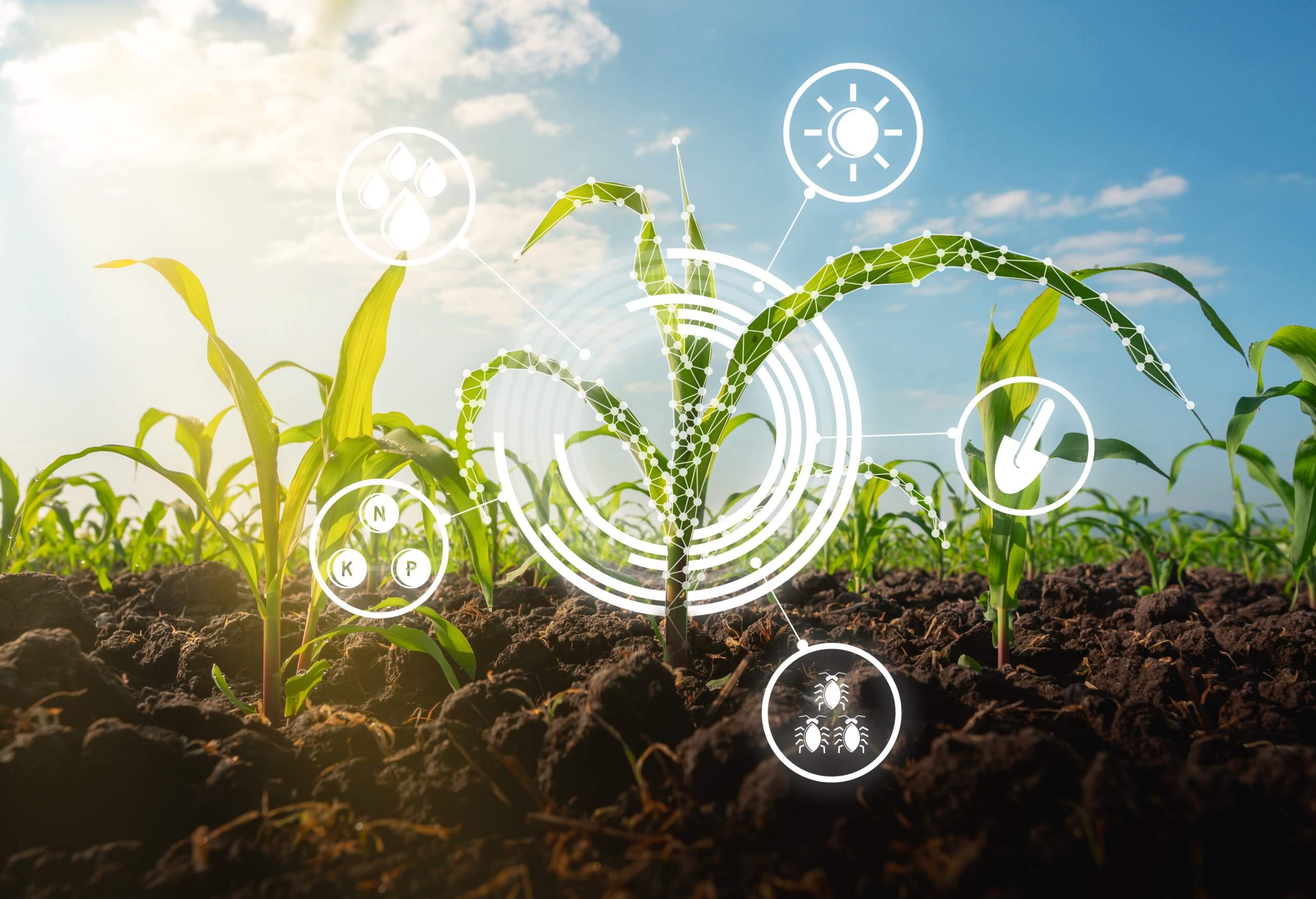 digital-agriculture-the-future-of-indian-agriculture-the-agrotech-daily