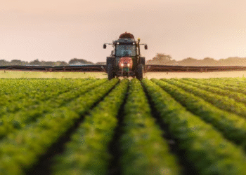 Top 3 Agritech Platforms Using Most Intriguing Technologies In Agriculture To Support Farmers