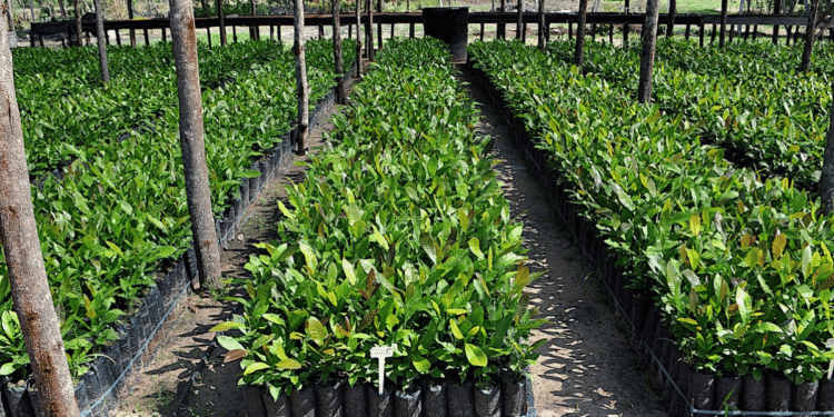 5 Ways To A Small Profitable Farm Business