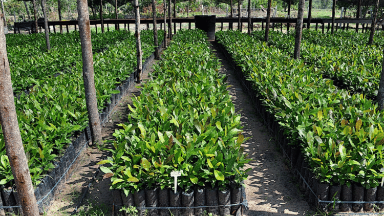 5 Ways To A Small Profitable Farm Business