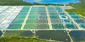 All About Fish Farming In India