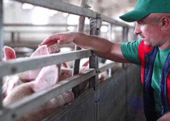 Biosecurity And Its Key Planning