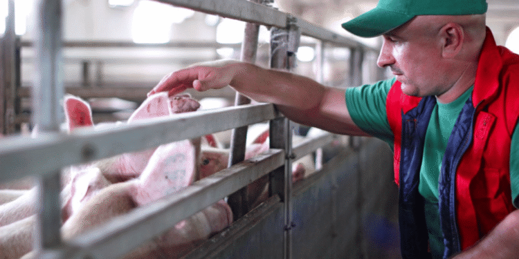 Biosecurity And Its Key Planning