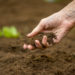 10 Best Ways To Increase Soil Fertility