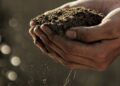 best-ways-to-increase-soil-fertility