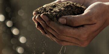best-ways-to-increase-soil-fertility