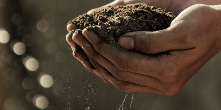 best-ways-to-increase-soil-fertility