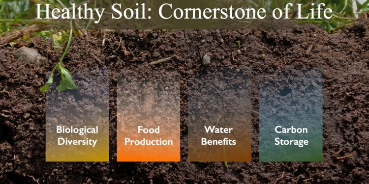 Healthy Soil