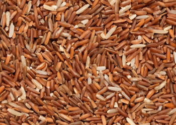 4 Tips to grow the Best Brown Rice