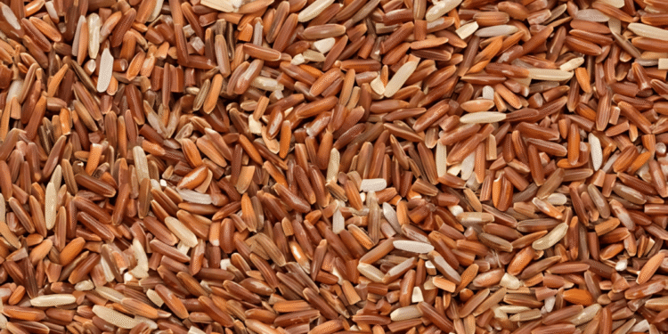 4 Tips to grow the Best Brown Rice