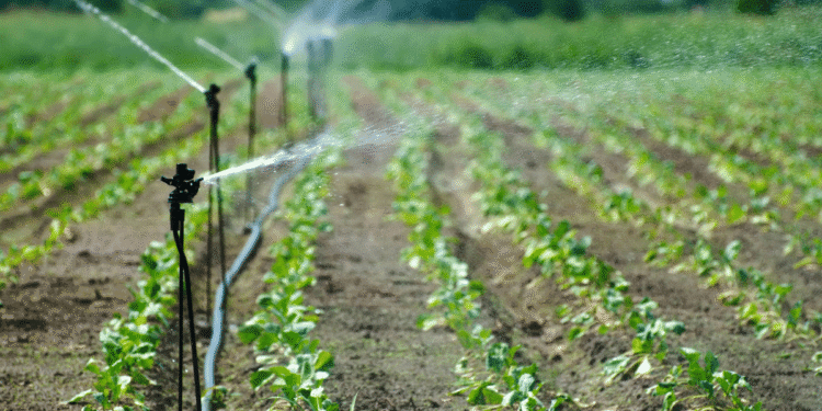 7 Amazing Facts about Sustainable Farming