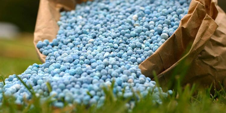 Importance of Fertilizer