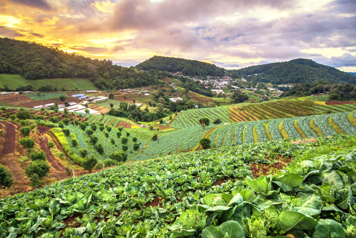 7 Amazing Facts About Sustainable Farming The Agrotech Daily