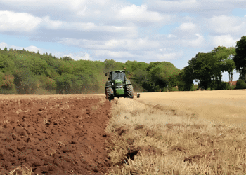 Digital Agriculture and the Path to the Future