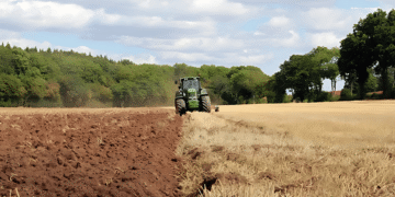 Digital Agriculture and the Path to the Future