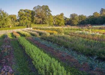 permaculture-actually-beneficial-for-the-planet-TheAgrotechDaily