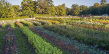 permaculture-actually-beneficial-for-the-planet-TheAgrotechDaily
