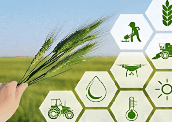 What are the latest trends in AgroTech in November 2022
